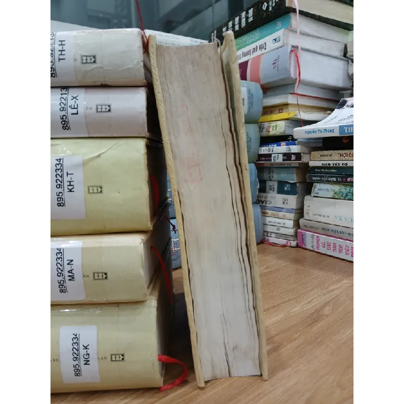 Đất rừng phương Nam – Cá bống mú – Hoa hướng dương – Đoàn Giỏi 592420