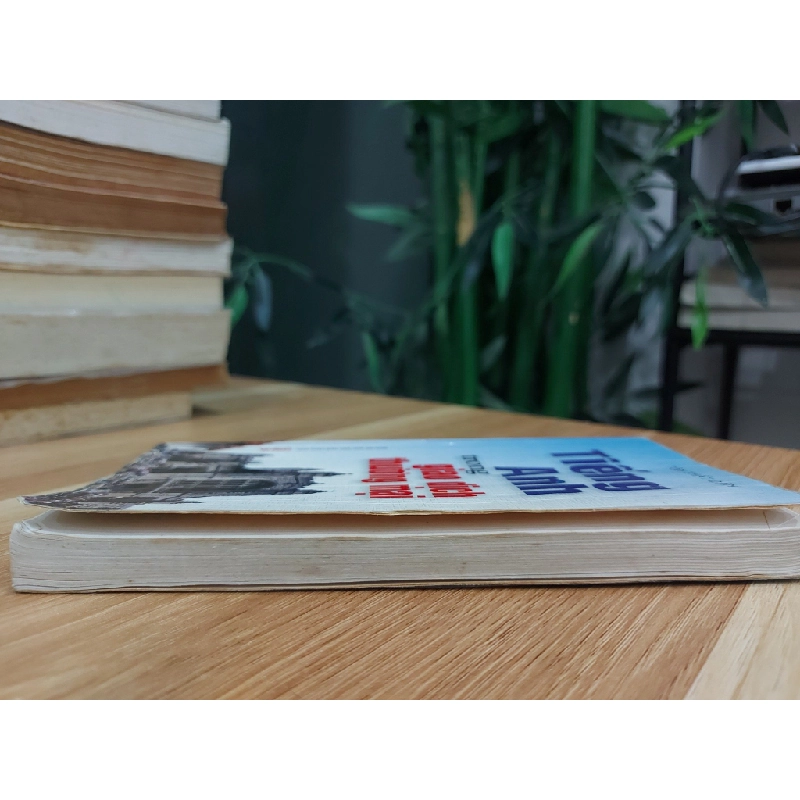 Tiếng Anh Trong Giao Dịch Thương Mại – Tôn Thất Dân 551186