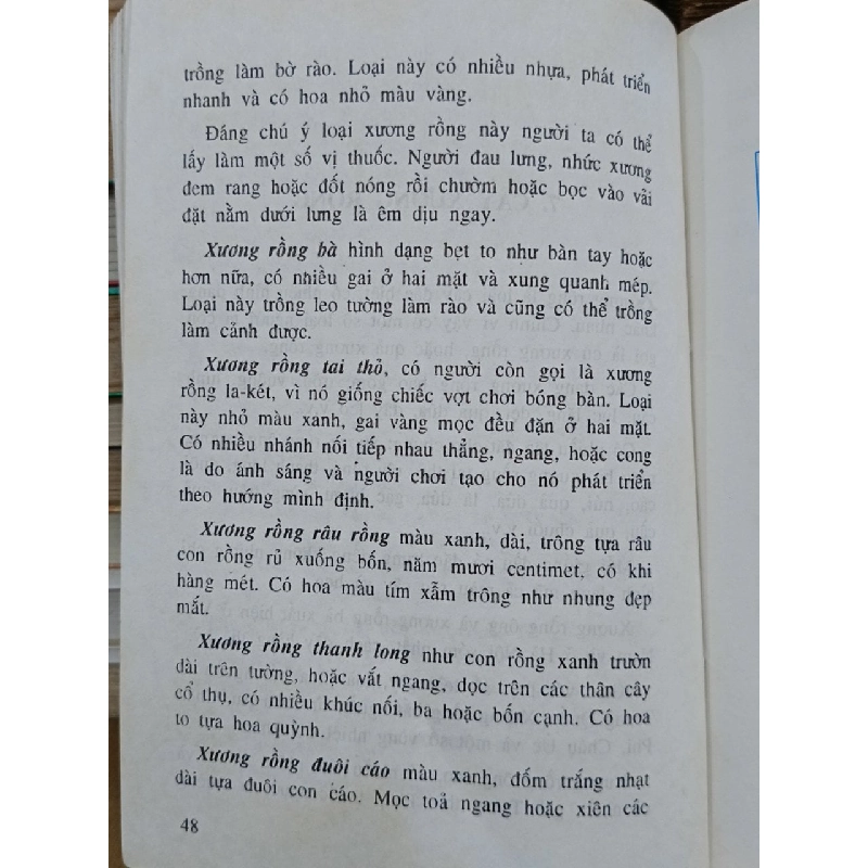 Nghệ thuật cây hoa - cây thế - cây cảnh - Như Mạo 1000795