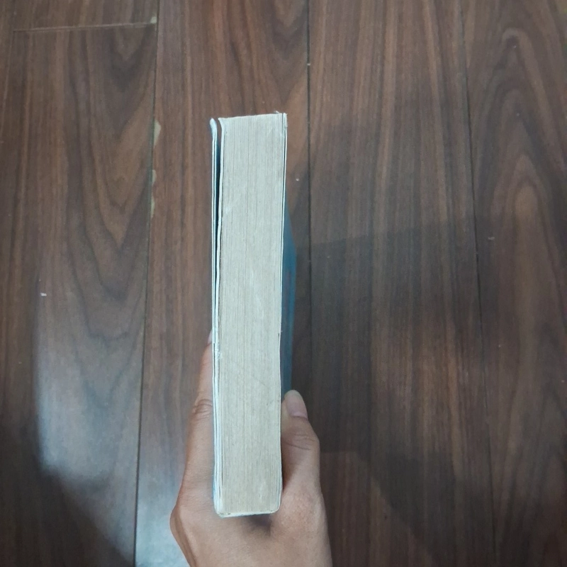 Nơi cuối cầu vồng 505597
