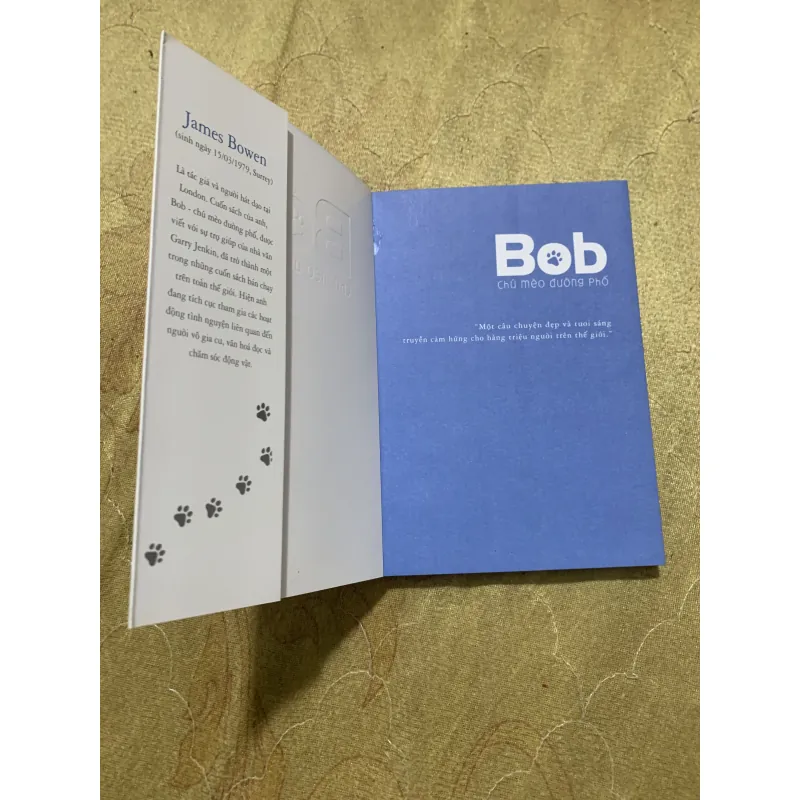 BOB CHÚ MÈO ĐƯỜNG PHỐ 746771