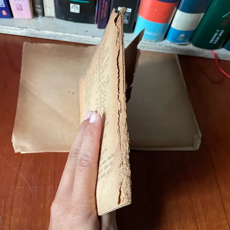 II Y Học: Đồ Hình Chữa Các Bệnh Theo Phương Pháp Diện Chẩn - Bùi Quốc Châu - 1986 561408