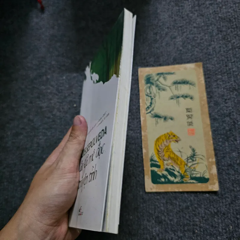 Lão gìa mê đọc truyện tình 734713