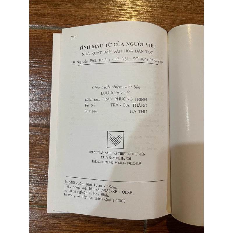 Tình mẫu tử Của Người Việt (9) 499824