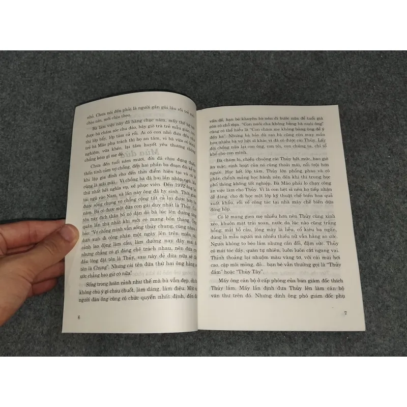 MÙA DỨA - ĐỊCH NGỌC LÂN 588793