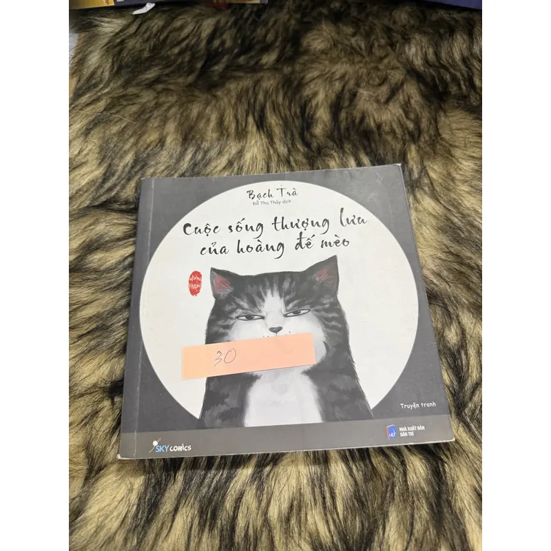 Cuộc sống thượng lưu của hoàng đế mèo  599880