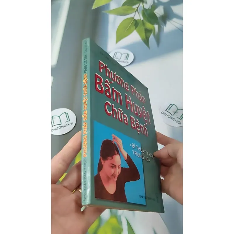 Phương Pháp Bấm Huyệt Chữa Bệnh - Phùng Lực Sinh 727233