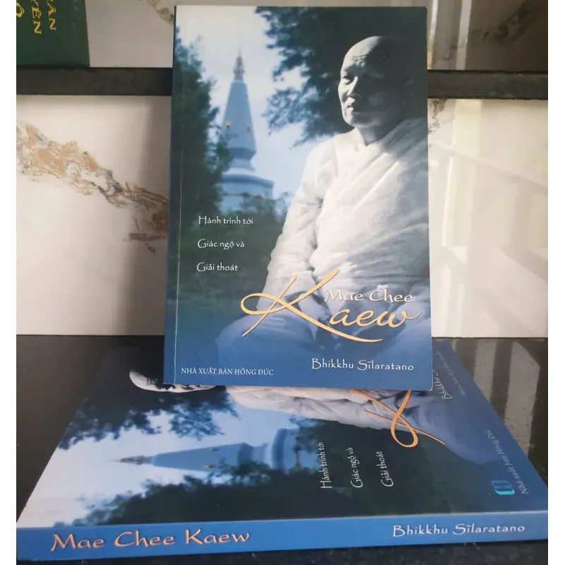 Hành Trình Tới Giấc Ngỡ Và Giải Thoát - Bhikkhu Silaratano 690837