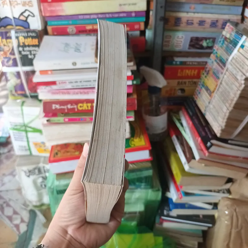 Trường Hận Ca - Vương An Ức 708494