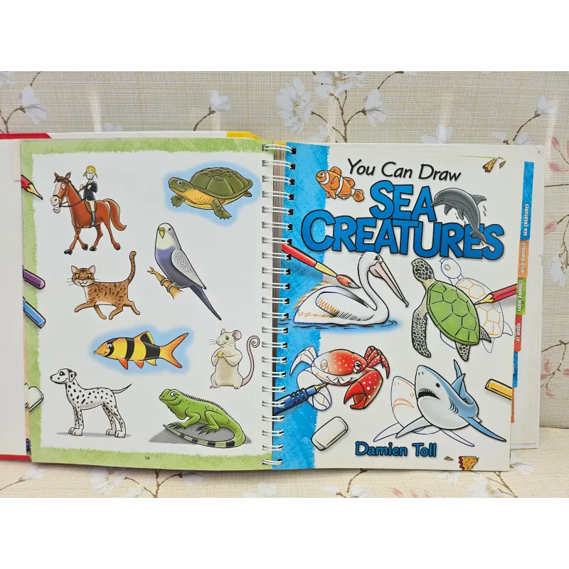 You Can Draw (Over 100 drawings to master!) 993534