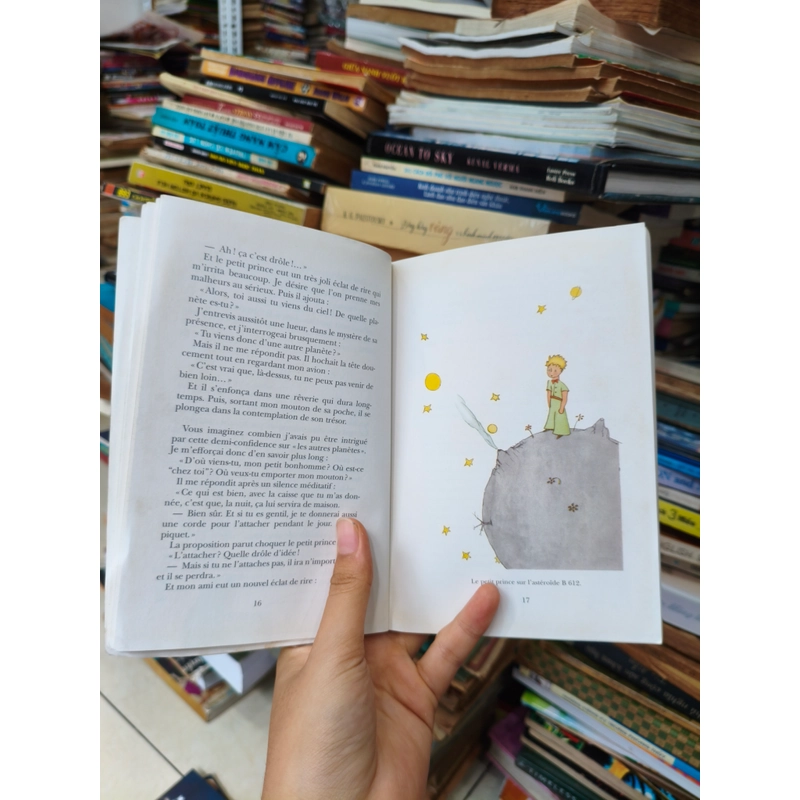 Hoàng tử bé 🌱 462455