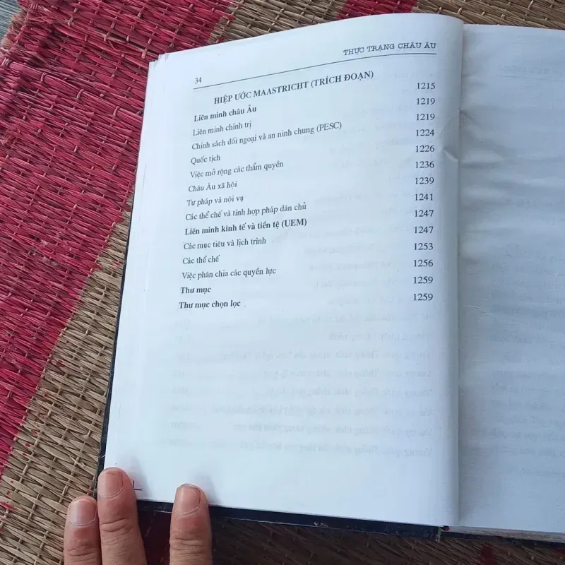 Thực Trạng Châu Au  1029989