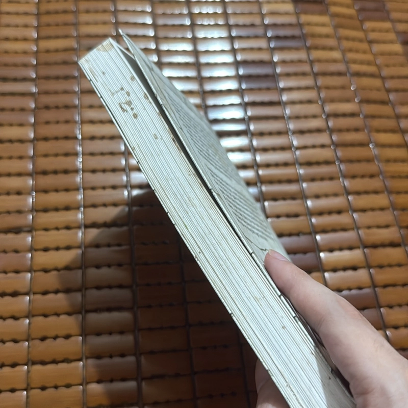 Bản thảo bằng đá - Luis Garcia Jambrina 529559