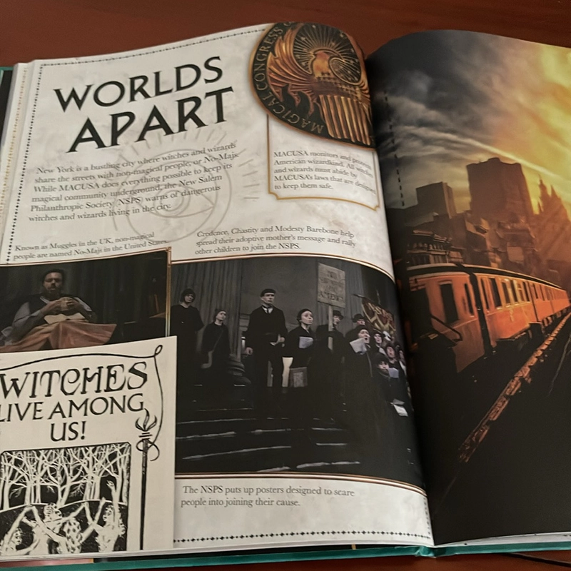PICTURE BOOK Fantastic beasts A cinematic yearbook 536224
