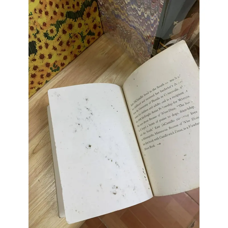 Because Of Winn-Dixie - Kate DiCamillo 929821