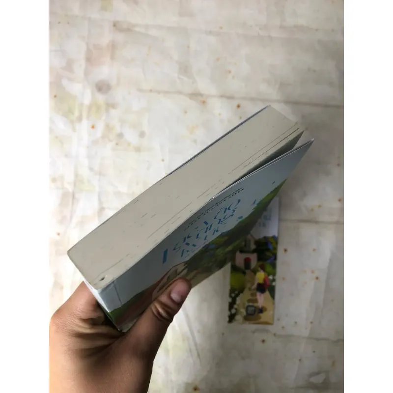 Lạc Vào Vùng Ký Ức - Sarah Addison Allen 800743