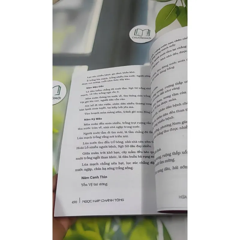 Ngọc Hạp Chánh Tông - Hứa Chân Quân 727381