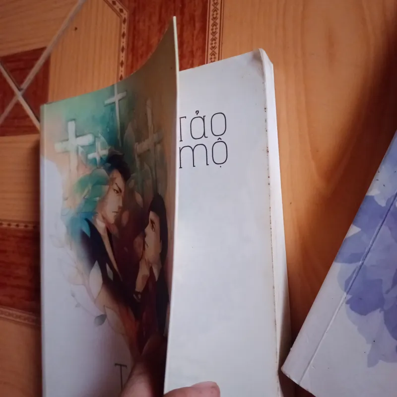 Tảo mộ T1,2- Ngô Trầm Thủy 994723