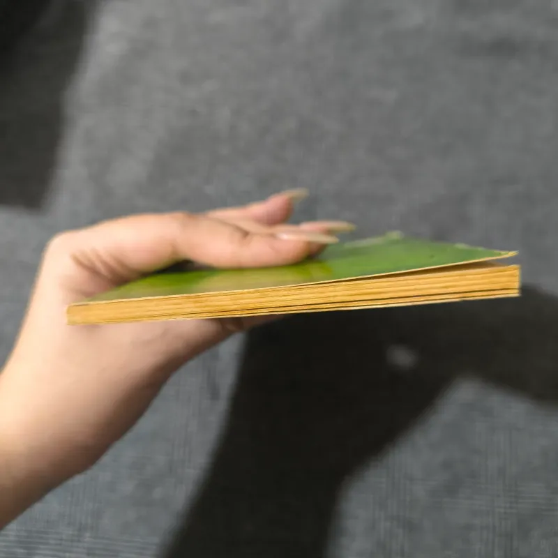 Quidditch Through The Ages - Harry Potter 786332