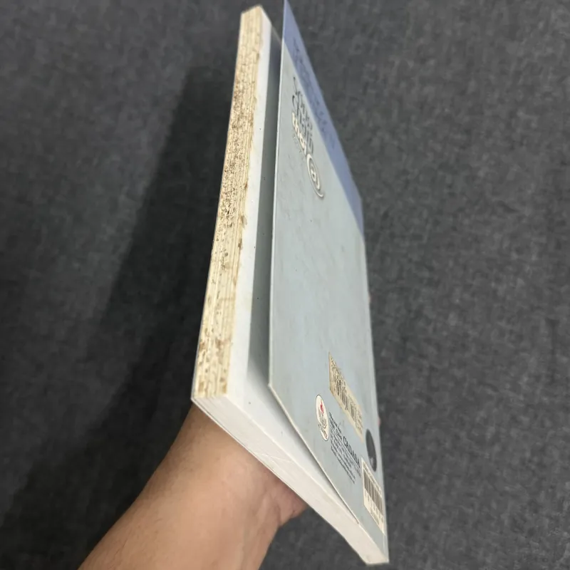 Sống chậm thời @ - Nguyễn Ngọc Tư, Lê Thiếu Nhơn 925877