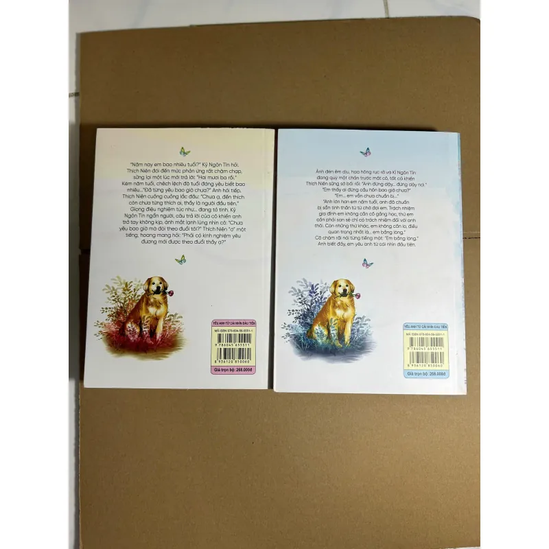 Yêu Anh Từ Cái Nhìn Đầu Tiên (Bộ 2 Tập) 200k 735408