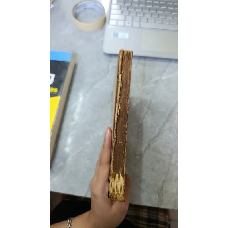 PHÊ PHÁN HỆ TƯ TƯỞNG VÀ THỰC TIỄN CỦA CHỦ NGHĨA MAO - LÊ MẠNH CHIẾN 739154