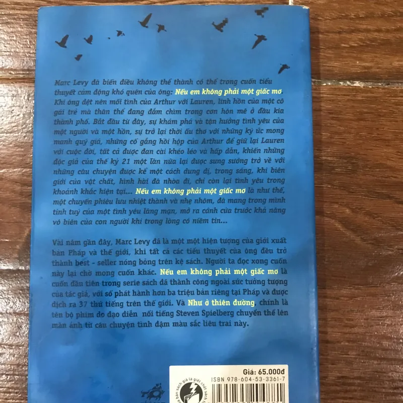 Nếu em không phải giấc mơ - Marc Levy (15) 625286