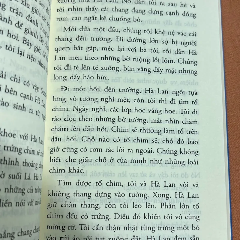 Mắt biếc 🌊 693464