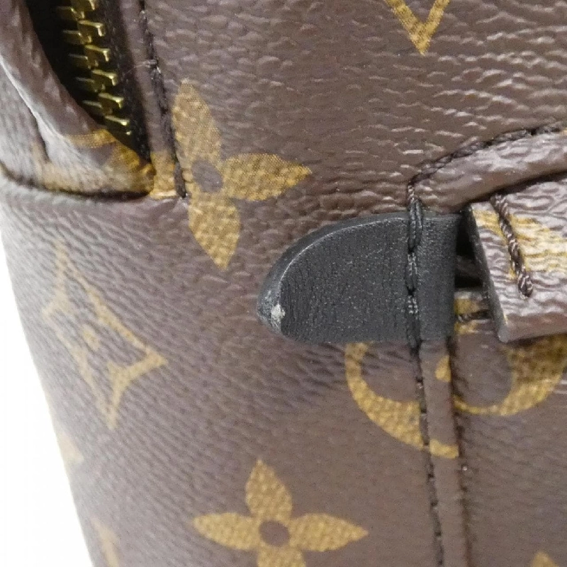 Ba lô Louis Vuitton Monogram Palm Springs PM M41560 608280