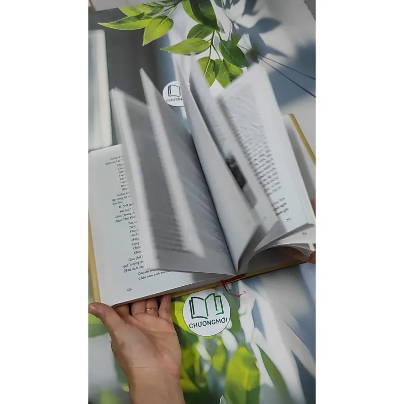 [MIỄN PHÍ BỌC SÁCH] Đinh Nho Hoàn: Thân Thế Và Sự Nghiệp - Hoàng Giáp 750797