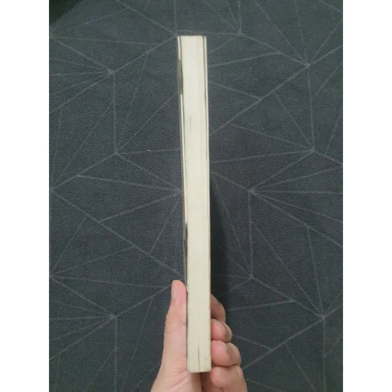 "Bị thiêu sống" - Souad 932013