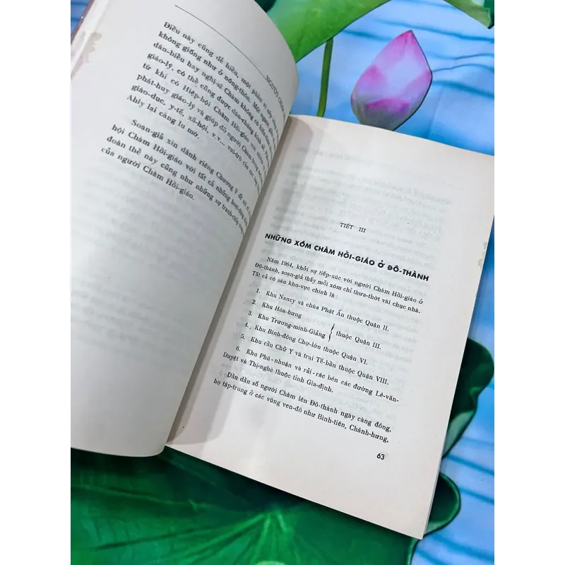 NGƯỜI CHÀM HỒI GIÁO MIỀN TÂY NAM PHẦN VIỆT NAM - NGUYỄN VĂN LUẬN 761603