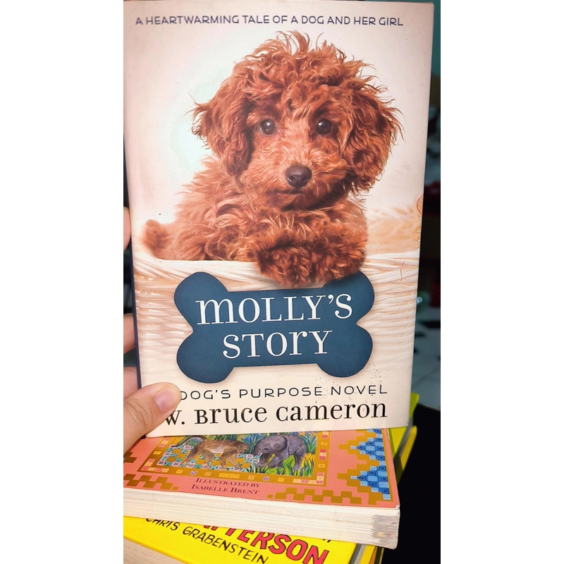 MOLLY'S STORY - W.BRUCE CAMERON 473024