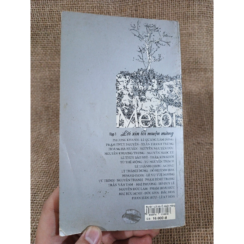 Mẹ tôi 2006 mới 80% (Sách văn học) HCM060526 1038719