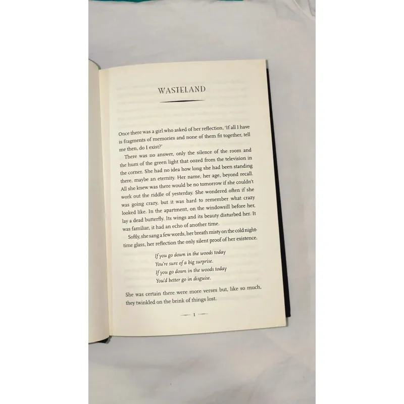 The Double Shadow - Sally Gardner (bìa cứng) 747990