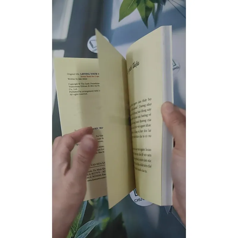 Tìm Lại Sức Mạnh Tinh Thần - Jan Alcoe 961229