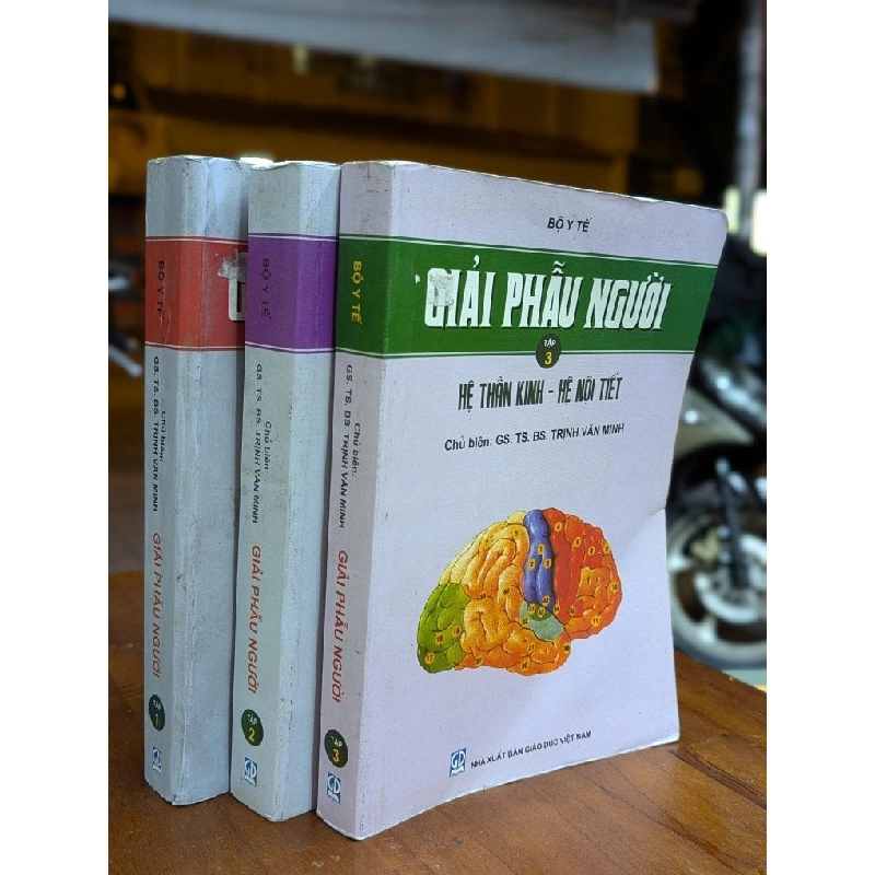 GIẢI PHẪU NGƯỜI - BỘ Y TẾ - GS. TS. BS. TRỊNH VĂN MINH 302539