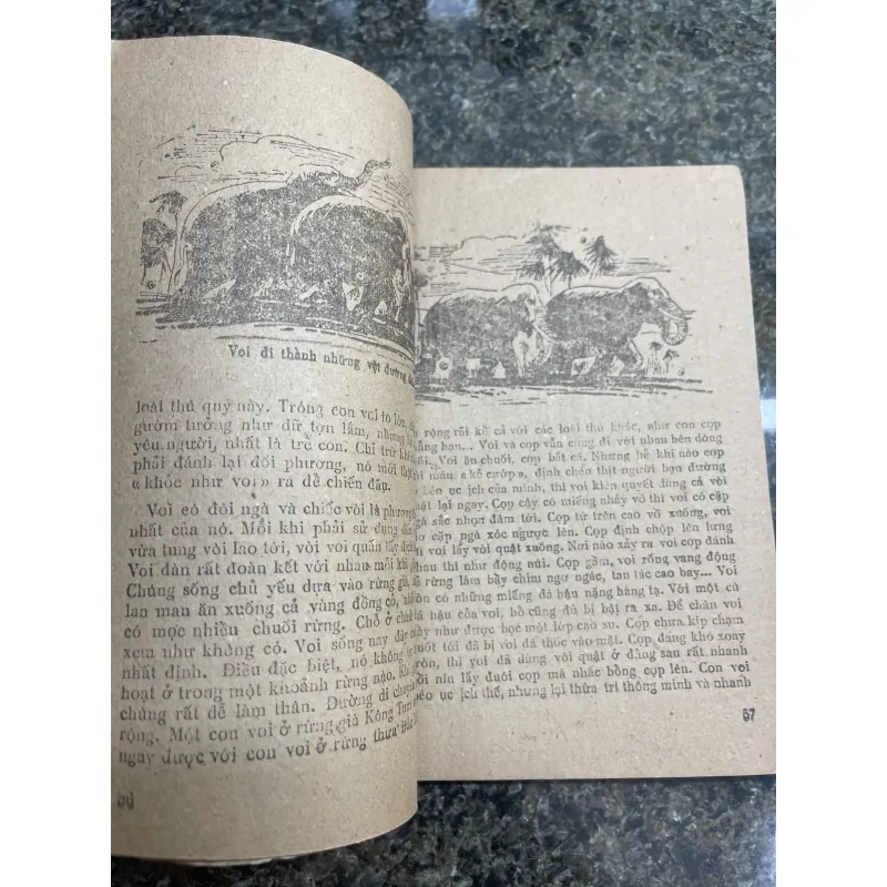 Thú rừng Tây Nguyên Thiên Lương XB 1985 760404