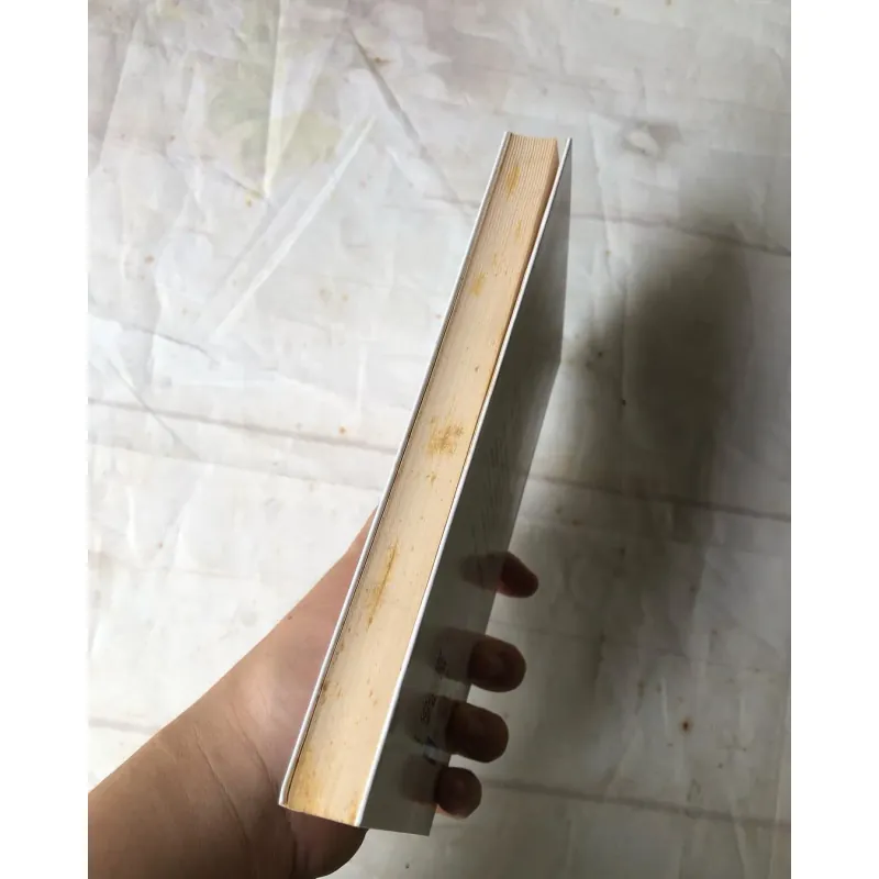 Những Người Bạn Của Mặt Trời - Lanka 751561