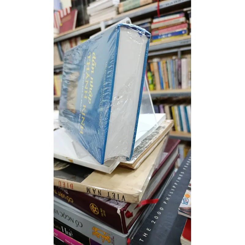 DẪN NHẬP THÁNH KINH 604759