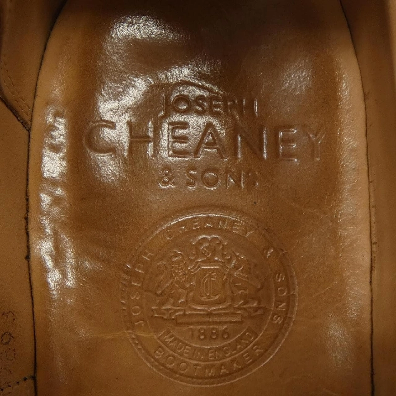 Giày CHEANEY BROAD Ⅱ - Hàng hiệu Authentic 905071