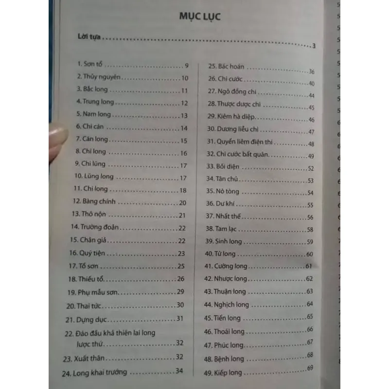 Kham dư mạn hứng  733766