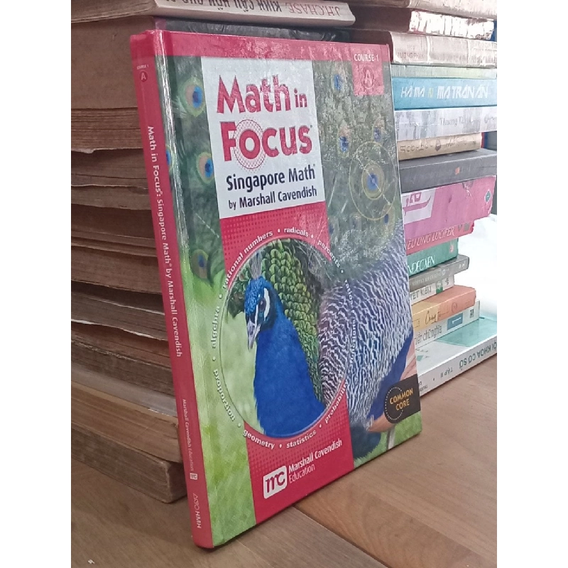 Math in Focus - Singapore Math by Marshall Cavendish 798568