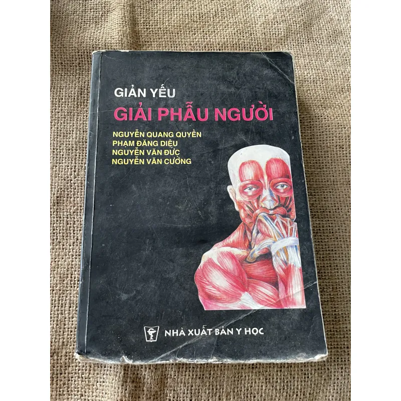 Giản yếu Giải phẫu người -NGUYỄN QUANG QUYỀN,PHẠM ĐĂNG DIỆU NGUYỄN VĂN ĐỨC NGUYỄN V. CƯỜNG 792205
