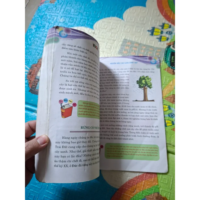 1001 Câu Hỏi Vì Sao - Nguồn Gốc Các Loài Sinh Vật 799951