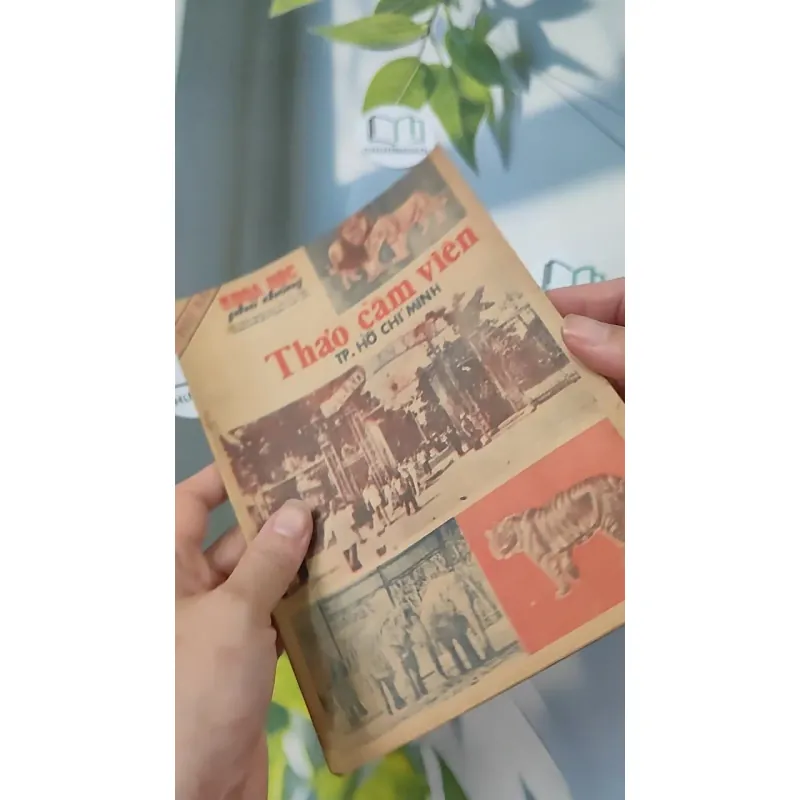 Tạp Chí Khoa Học Phổ Thông: Thảo Cầm Viên TP. Hồ Chí Minh 775989