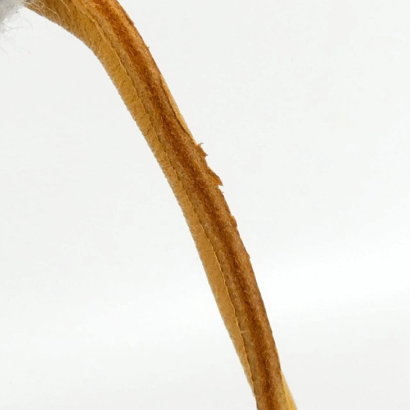 Túi charm Rodeo MM 064930CA của Hermès 624611