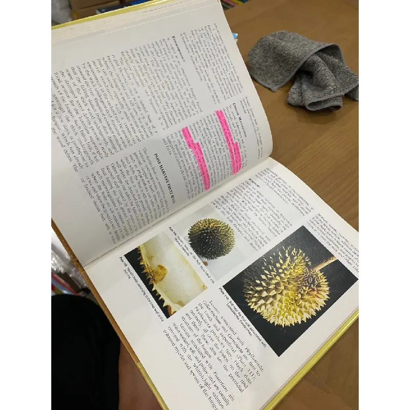 Durian Diseases and Disorders - Lim Tong Kwee 553264