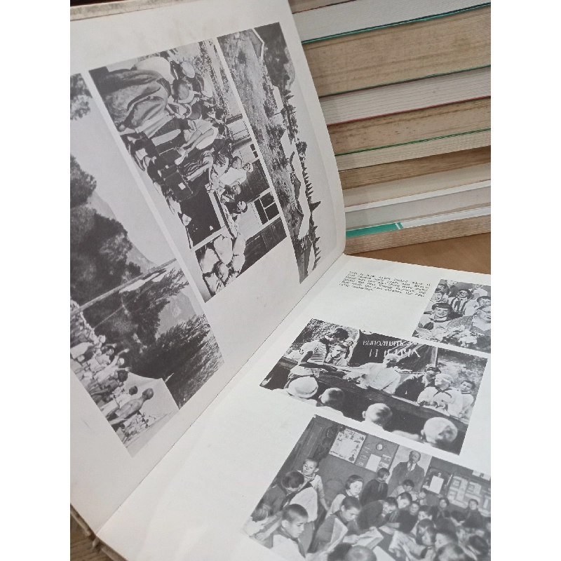 The seaside "Children's republic" - Vasily Golyshkin 762416