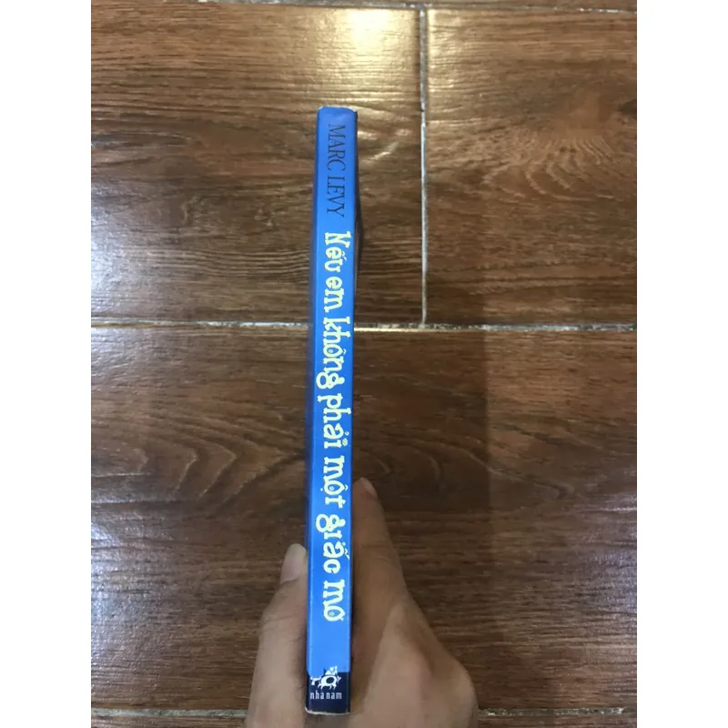 Nếu em không phải giấc mơ - Marc Levy (15) 625286